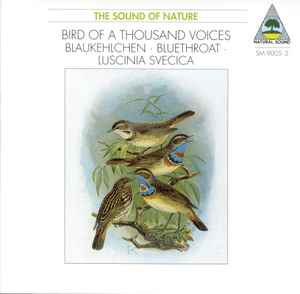 Walter Tilgner - Bird Of A Thousand Voices • Blaukehlchen • Bluethroat • Luscinia Svecica album cover