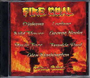 descargar álbum Various - Fire Coal