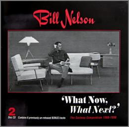 last ned album Bill Nelson - What Now What Next The Cocteau Years Compendium 1980 1990