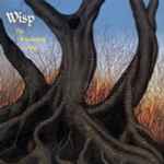 Wisp – The Shimmering Hour (2009, CD) - Discogs