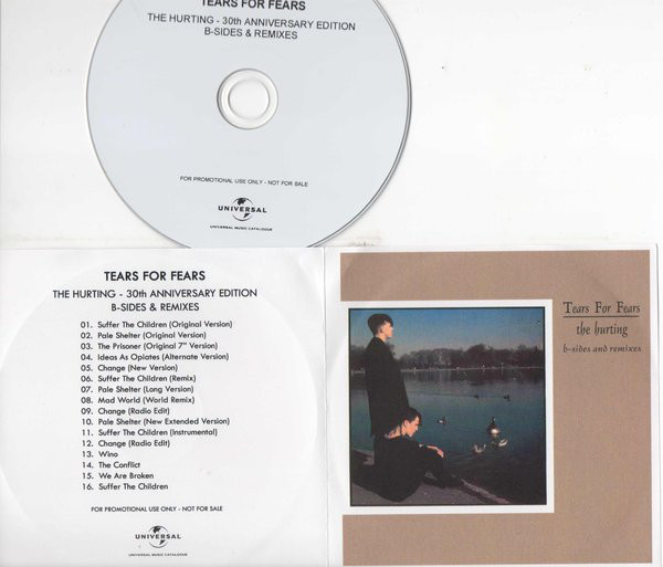 Tears For Fears The Hurting B Sides And Remixes 2013 30th