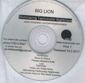 Big Lion - Shimmering Technicolor Nightmare album cover
