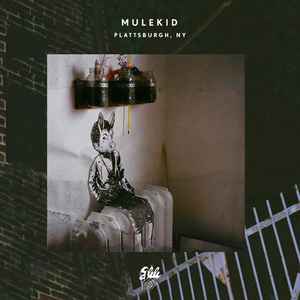 Mulekid - Plattsburgh, NY album cover