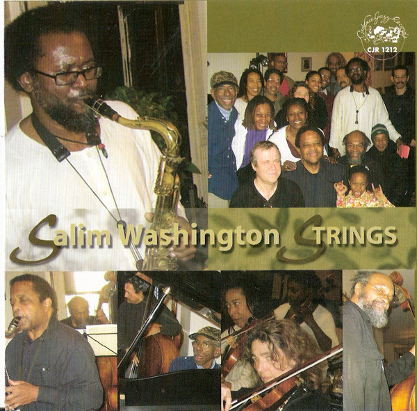 last ned album Salim Washington - Strings