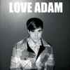 Love Adam - Little Birds