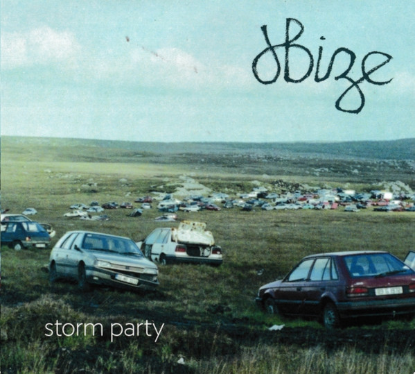 dBize - Storm Party on Discogs