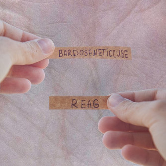 last ned album Bardoseneticcube - Reag