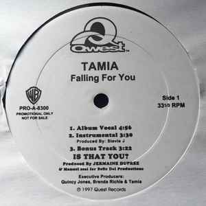 Falling For You / So Into You (Vinyl, 12
