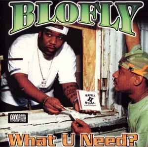 Blofly – What U Need? (2001, CD) - Discogs