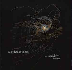 Rhodri Davies - Wunderkammern album cover