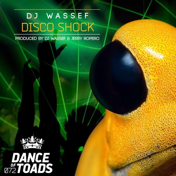 baixar álbum DJ Wassef - Disco Shock