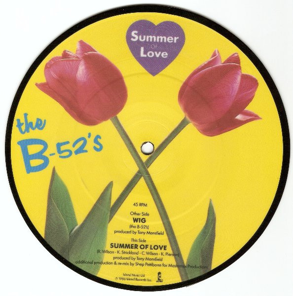 The B 52 s Wig 1987 Vinyl Discogs