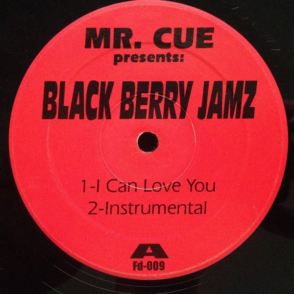 télécharger l'album Mr Cue Presents Black Berry Jamz - I Can Love You