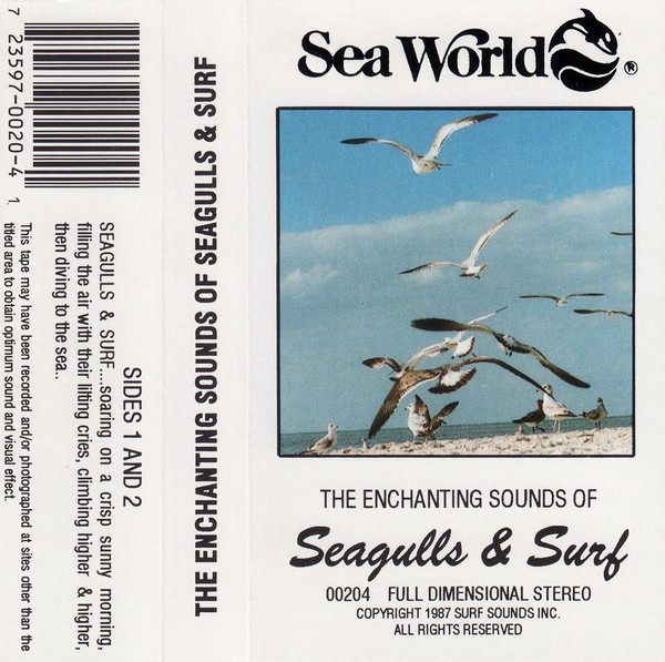 télécharger l'album No Artist - Sea World The Enchanting Sounds Of Seagulls Surf