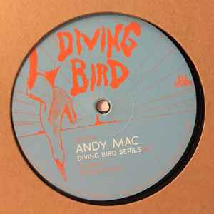 Diving Bird Series #3 - Andy Mac