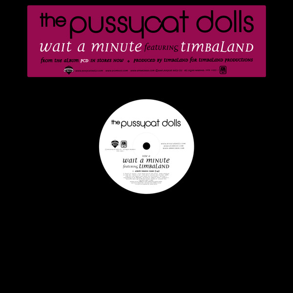 pussycat dolls wait a minute album