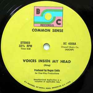 Common Sense - Voices Inside My Head album cover