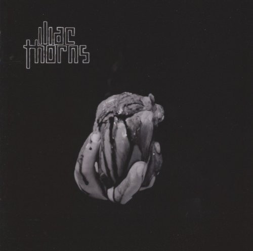 Iliac Thorns – It (2013, CD) - Discogs