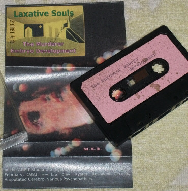 last ned album Laxative Souls - The Murderer Embryo Development
