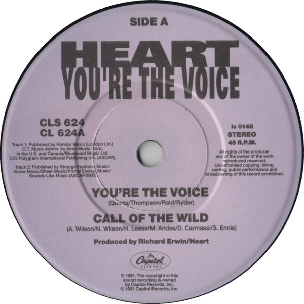 baixar álbum Heart - Youre The Voice