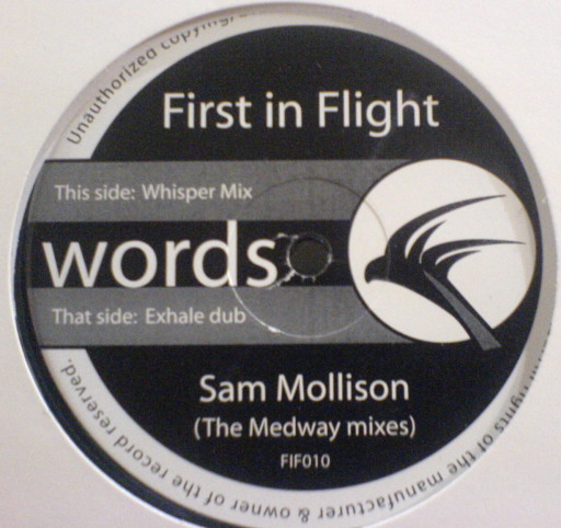 last ned album Sam Mollison - Words The Medway Mixes