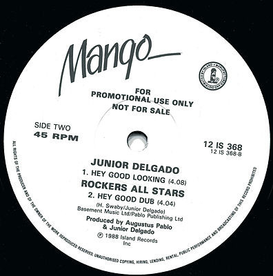 Album herunterladen Junior Delgado - Hanging Tree