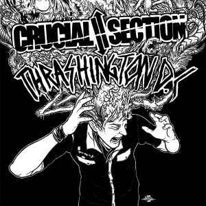 Crucial Section - Crucial Section / Thrashington D.C. album cover