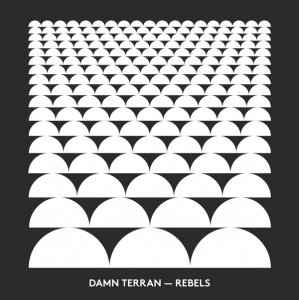 Damn Terran - Rebels/Wasting Time album cover