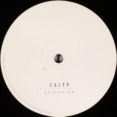 descargar álbum Calyx - The Killa EP