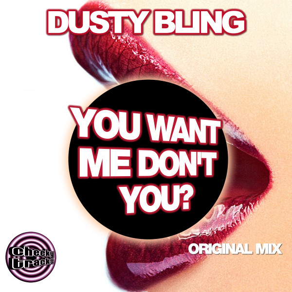 ladda ner album Dusty Bling - You Want Me Dont You