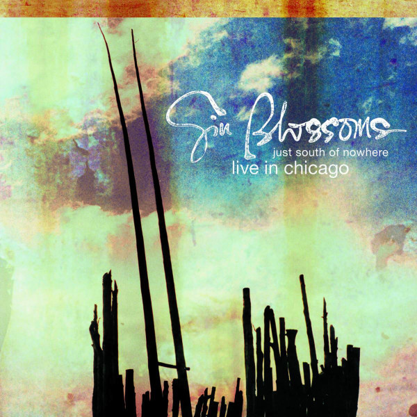 Gin Blossoms – Just South Of Nowhere (2004, DVD) - Discogs