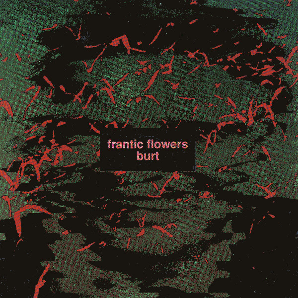 Album herunterladen Frantic Flowers - Burt