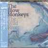 The Blow Monkeys - The Wild River