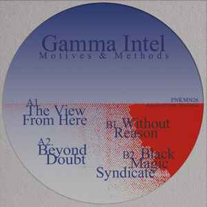 Gamma Intel - Motives & Methods