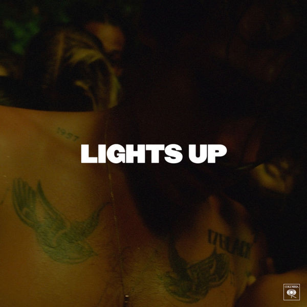 descargar álbum Harry Styles - Lights Up