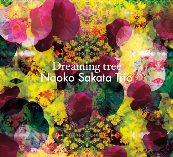 ladda ner album Naoko Sakata Trio - Dreaming Tree