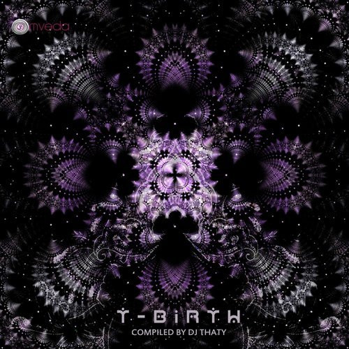 télécharger l'album DJ Thaty - T Birth
