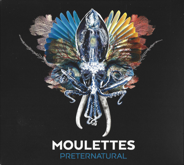 Moulettes – Preternatural (2016, Vinyl) - Discogs