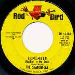 Cover of Remember (Walkin' In The Sand), 1964-08-00, Vinyl
