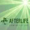 Afterlife (32) - Synthetic Joy (FOMO Rave Mix)