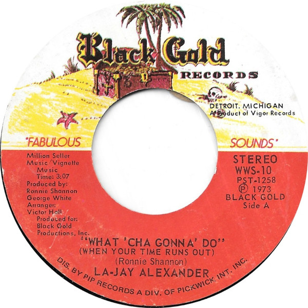 télécharger l'album La Jay Alexander - What Cha Gonna Do When Your Time Runs Out Say So
