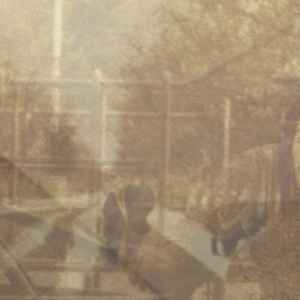 Ezekiel Honig - Folding In On Itself album cover