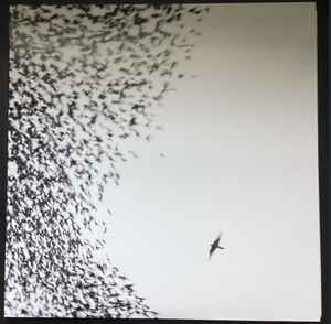 Wilco – Sky Blue Sky (Half-speed master, Gatefold sleeve, Vinyl 