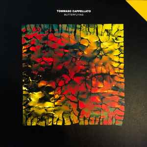 Tommaso Cappellato - Butterflying album cover