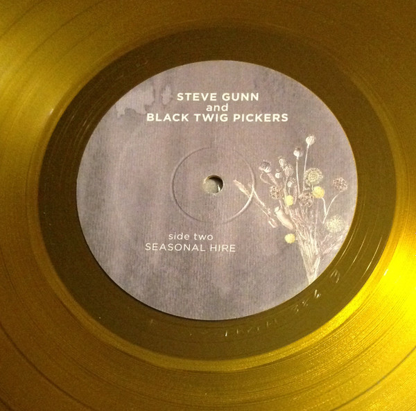 last ned album Steve Gunn and Black Twig Pickers - Seasonal Hire