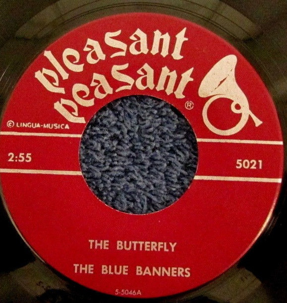 last ned album The Blue Banners - The Butterfly