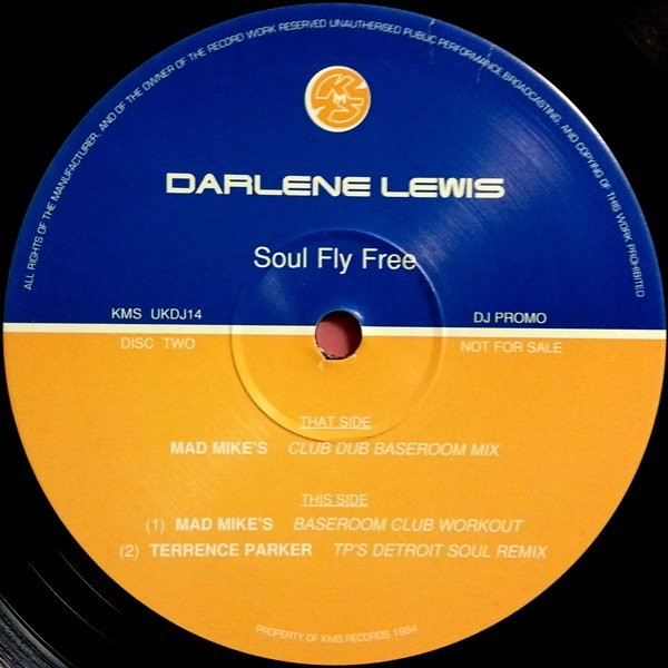 télécharger l'album Darlene Lewis - Soul Fly Free