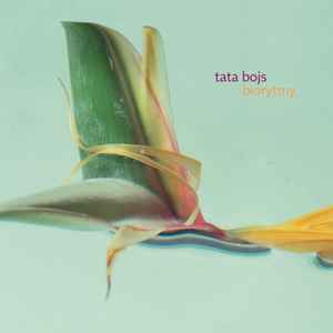 Tata Bojs - Biorytmy album cover