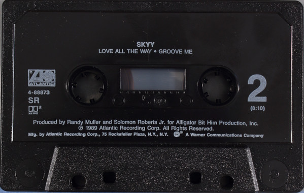 descargar álbum Skyy - Love All The Way