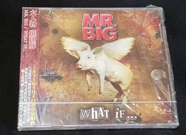 Mr. Big - What If | Releases | Discogs